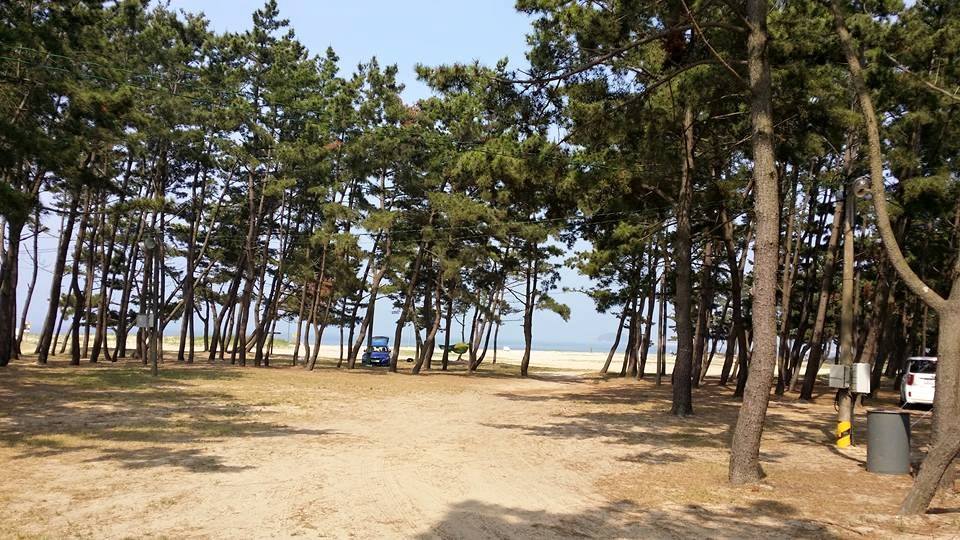 태안군 몽산포오션캠핑장 소개