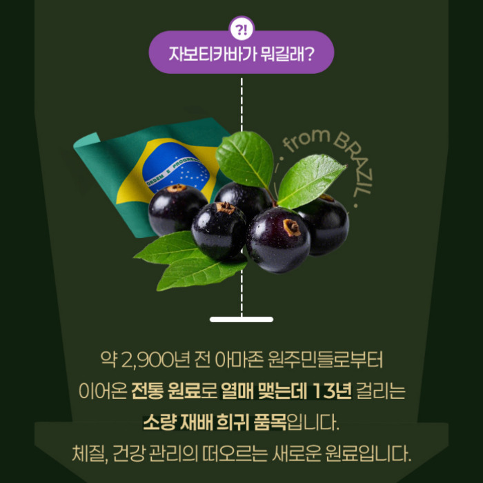 자보티바 내돈내산 후기 부작용 효과 가격 복용법 