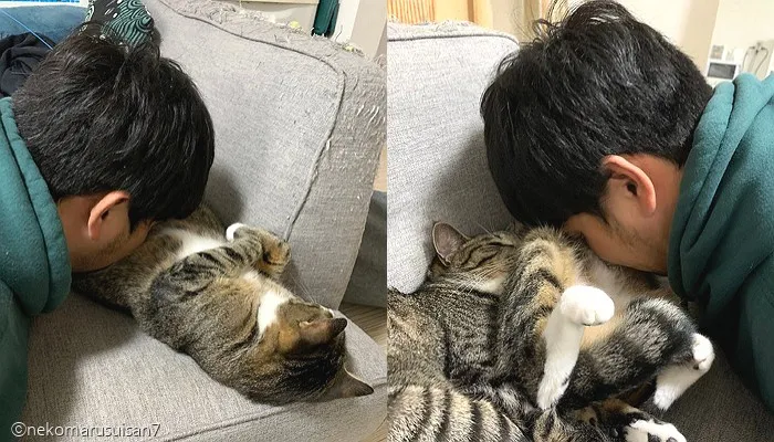 &amp;quot;고양이