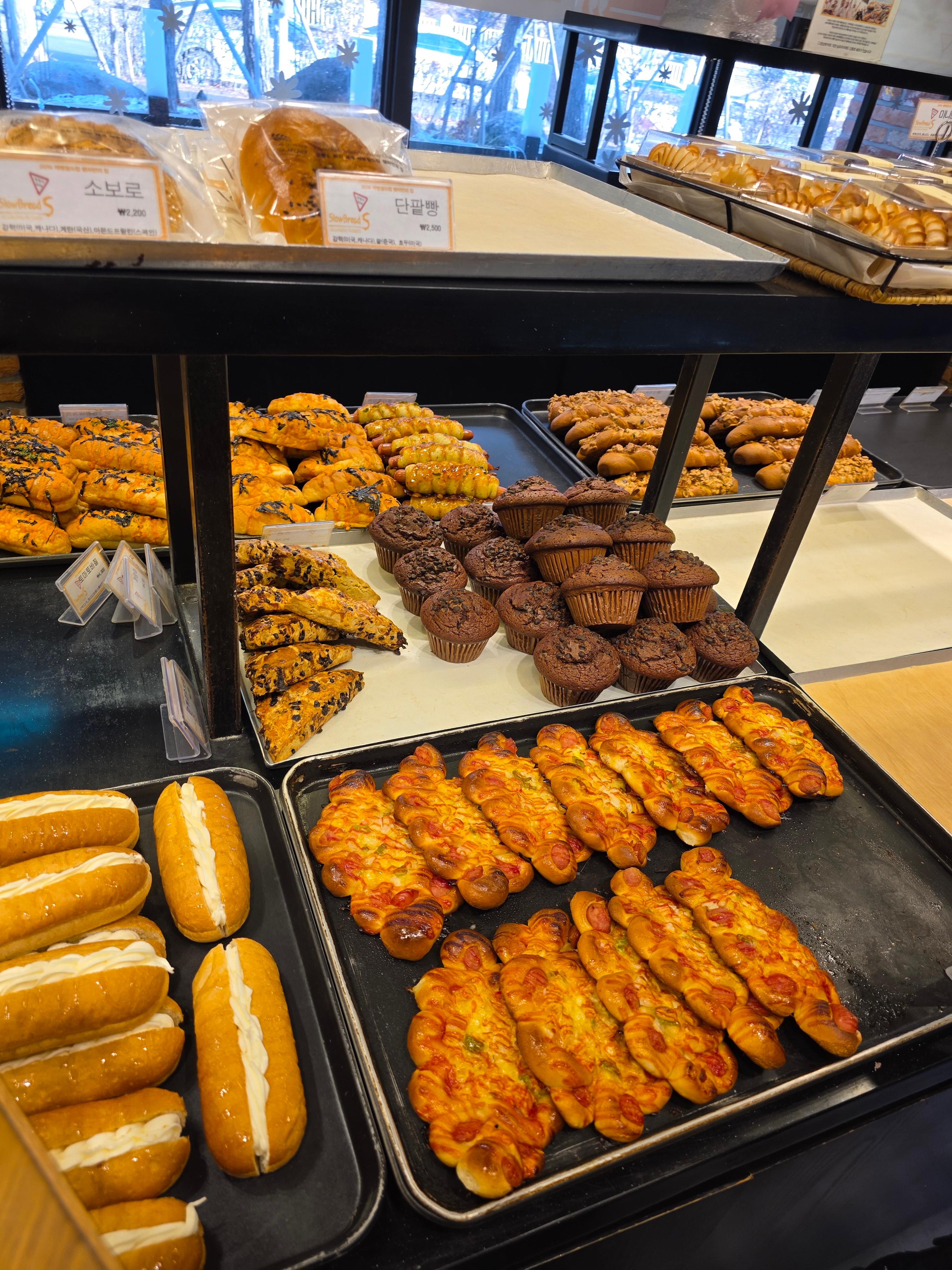 슬로우브레드 전민동 제빵 월드컵 우승 대표빵 소금빵 흰둥이 가격 주차 12