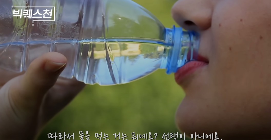 이계호 태초 먹거리 물