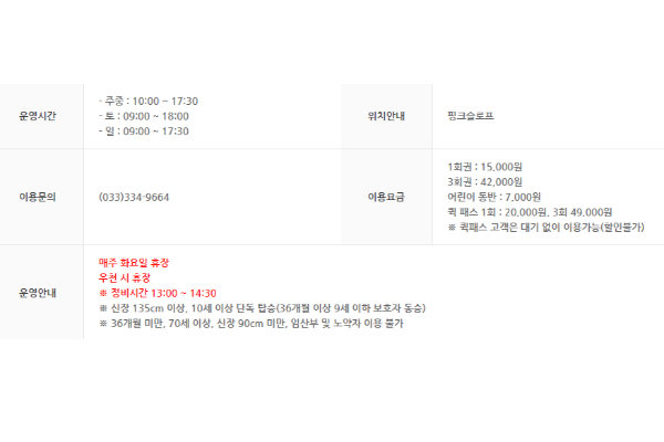 용평리조트 루지 후기