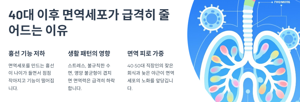 40대 이후 면역세포가 급격히 줄어드는 이유