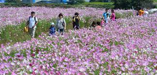 9월 가볼만한 곳 베스트