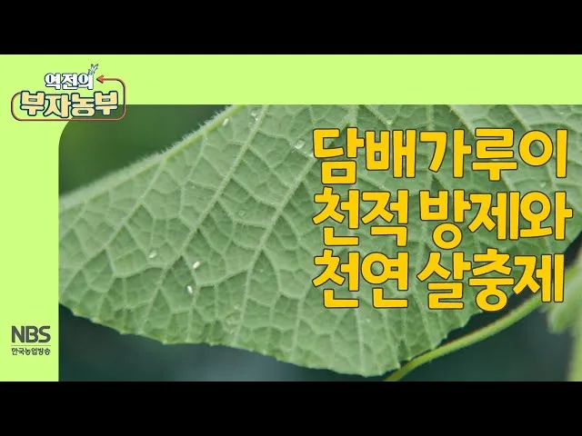 병해충 천적 활용 무당벌레 기생벌 끈끈이트랩 친환경 방제_2