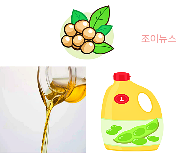 식용유(콩기름)의 특징과 활용
