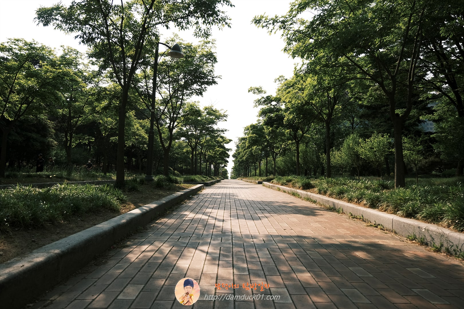 경기아트센터에서 효원공원 가는 길