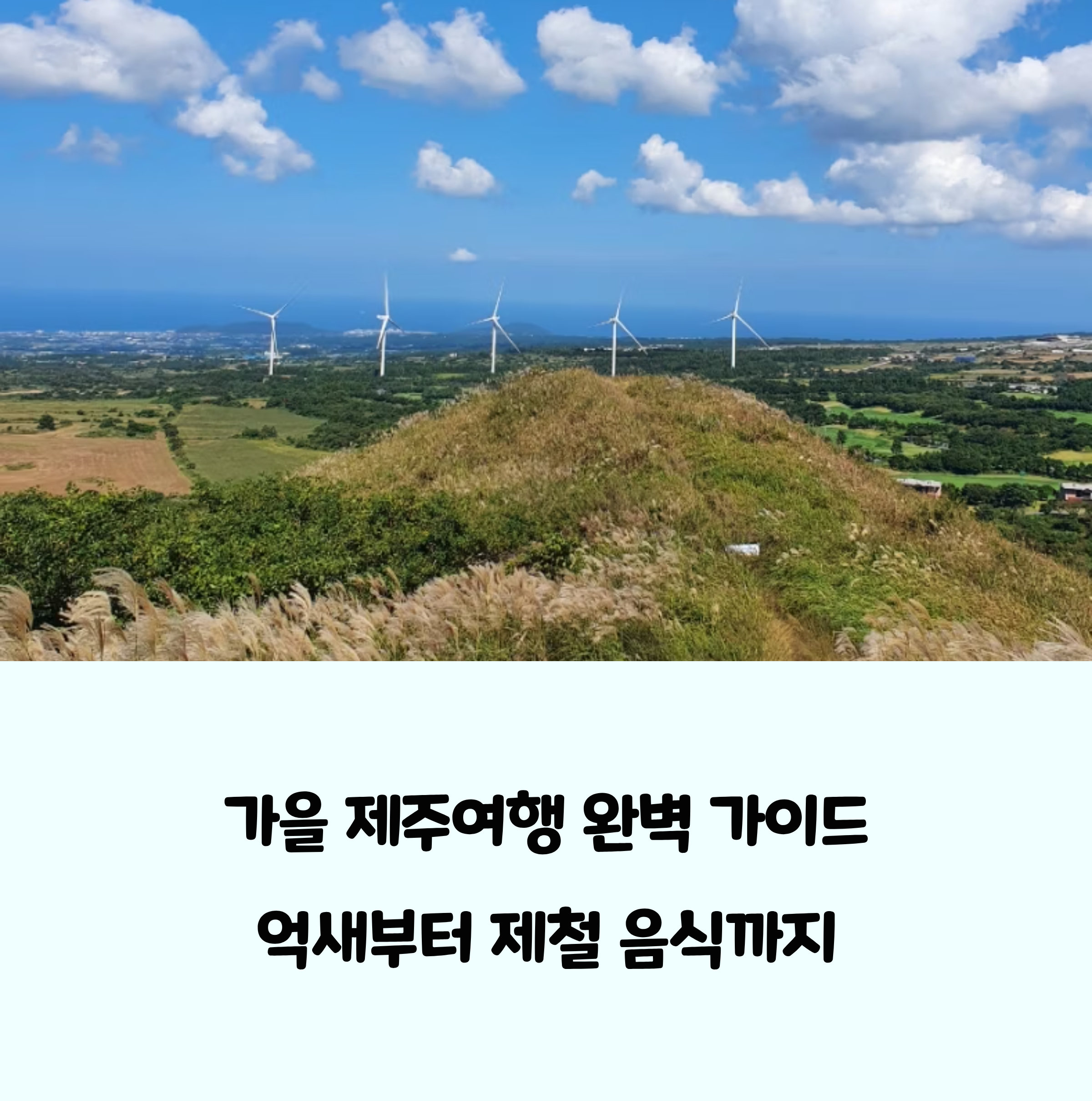 가을 제주여행 완벽 가이드 억새부터 제철 음식까지