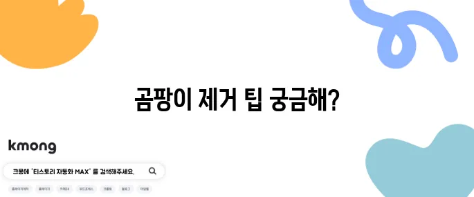 찬장에 곰팡이 생겼을 때 없애는 방법
