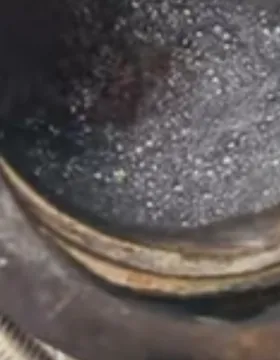 DPF 클리닝하는 과정