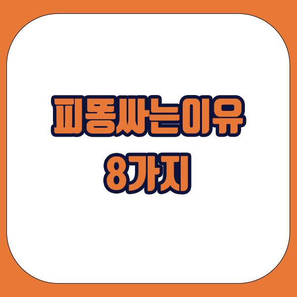 피똥싸는이유 8가지 소개해드립니다