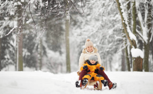 겨울방학 온가족이 즐길 수 있는 국내썰매장 BEST4