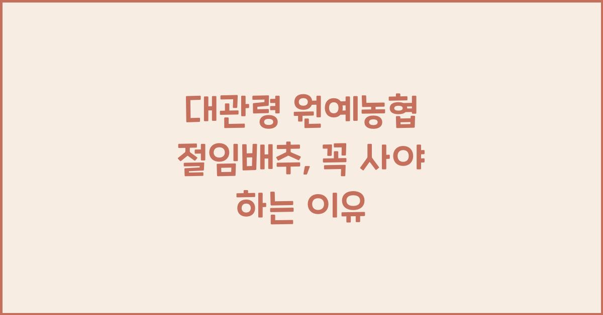 대관령 원예농협 절임배추