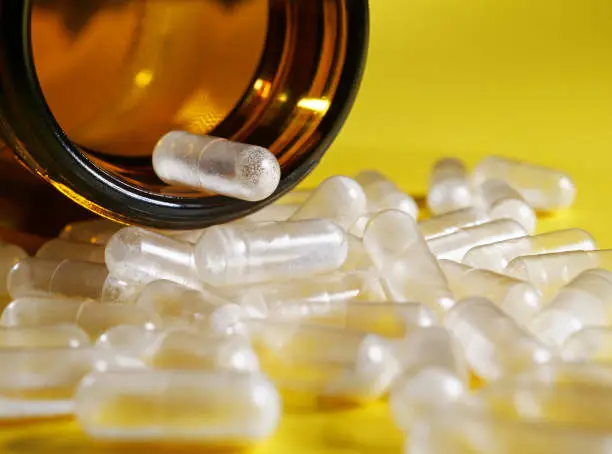 항생제 사진 모음