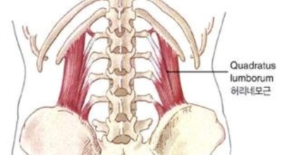 오른쪽 갈비뼈 아래 통증 이미지