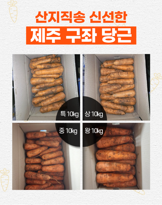 6시내고향 제주 구좌 당근 구매정보 도하네농장