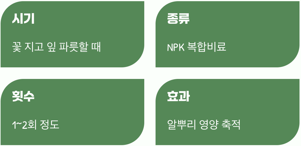 내년을 위한 영양제 주는 법