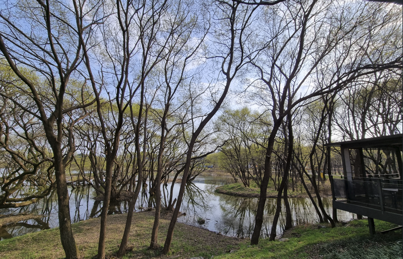 오송호수공원 습지 및 휴식공간