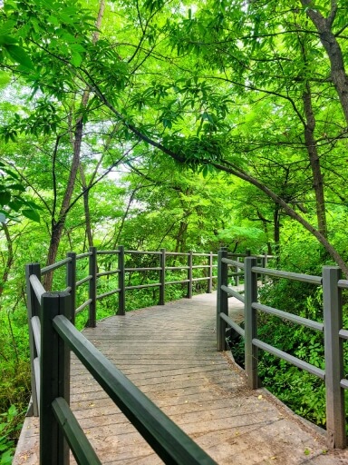 반려견과 함께 떠나는 전국 산행 명소 7선 : 강아지 동반 가능한 등산 코스 총정리