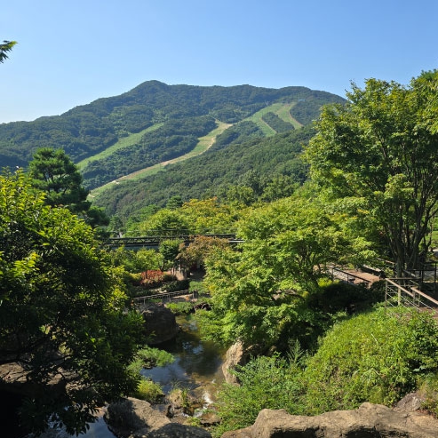 화담숲 온라인 예매하기 (할인 정보&amp;#44; 취소 환불)