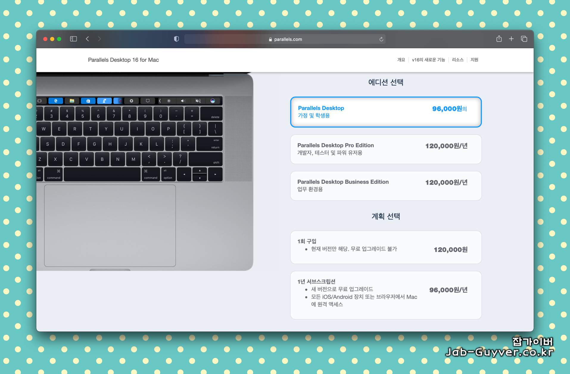 Parallels Desktop 가상 머신 Shared Network 네트워크 설정