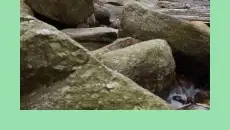 동학사계곡