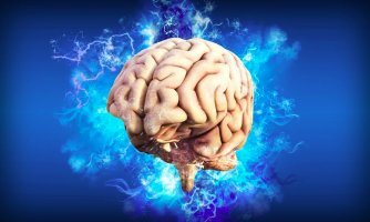 전두측두엽 치매