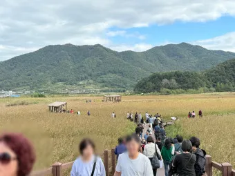 순천 가볼만한곳 베스트10 순천만 갈대밭 숨겨진 명소_20