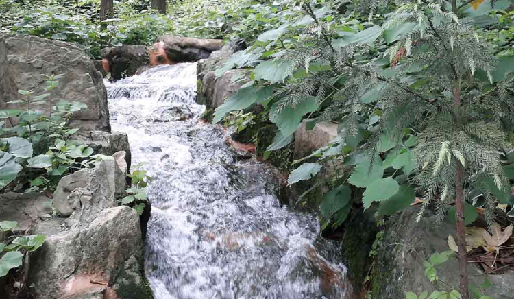 장흥 우드랜드 편백숲