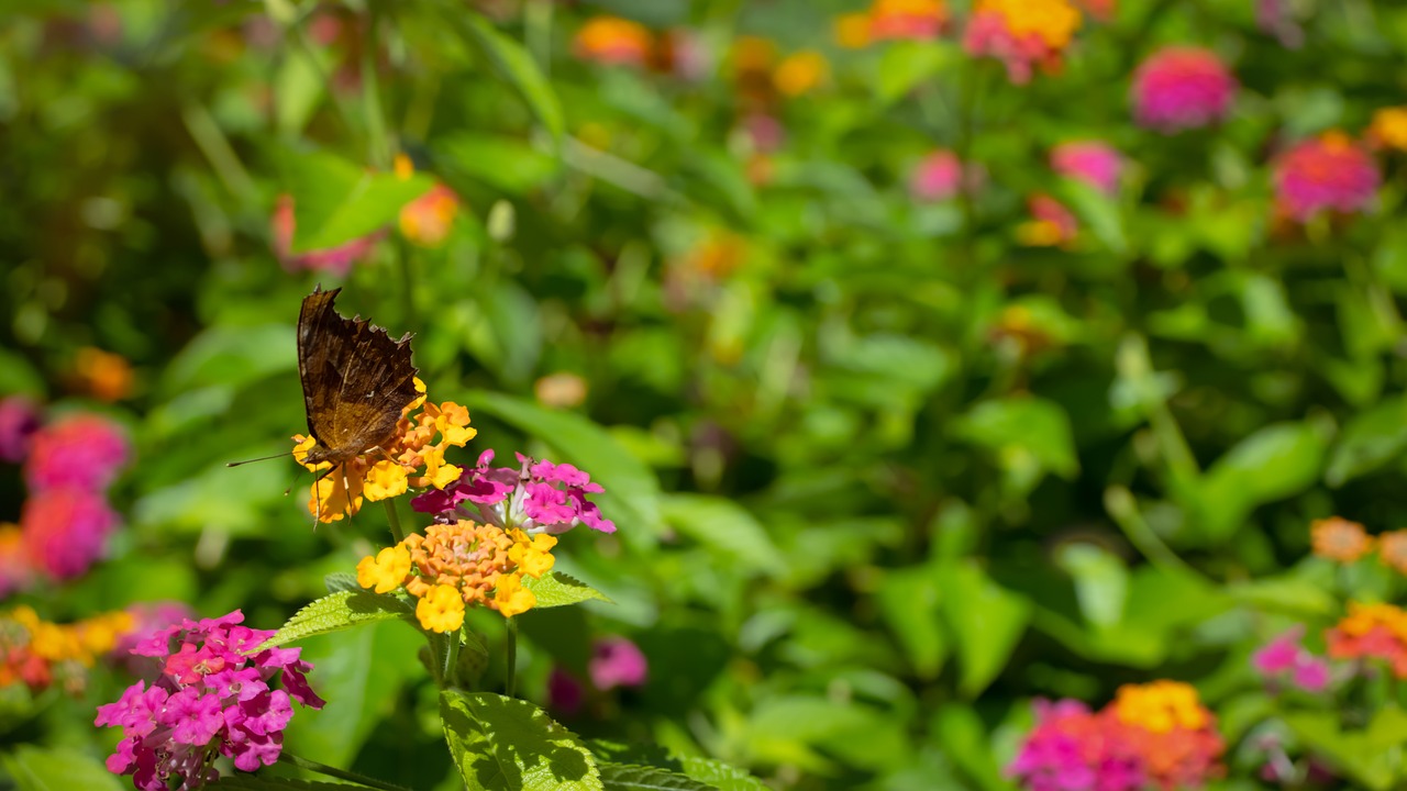 화담숲 예약방법
