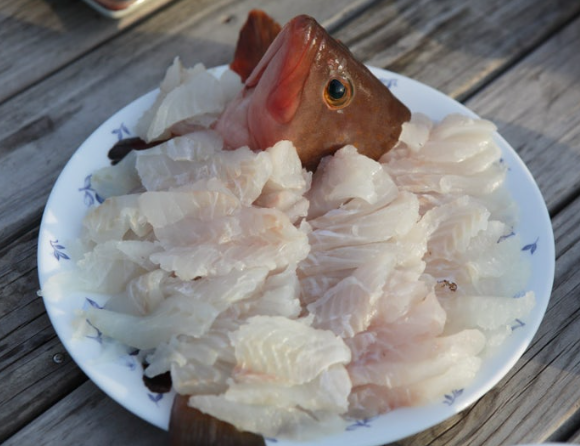 붉바리 시세 회 가격 낚시 채비 제철 구이 요리 다금바리 총정리3