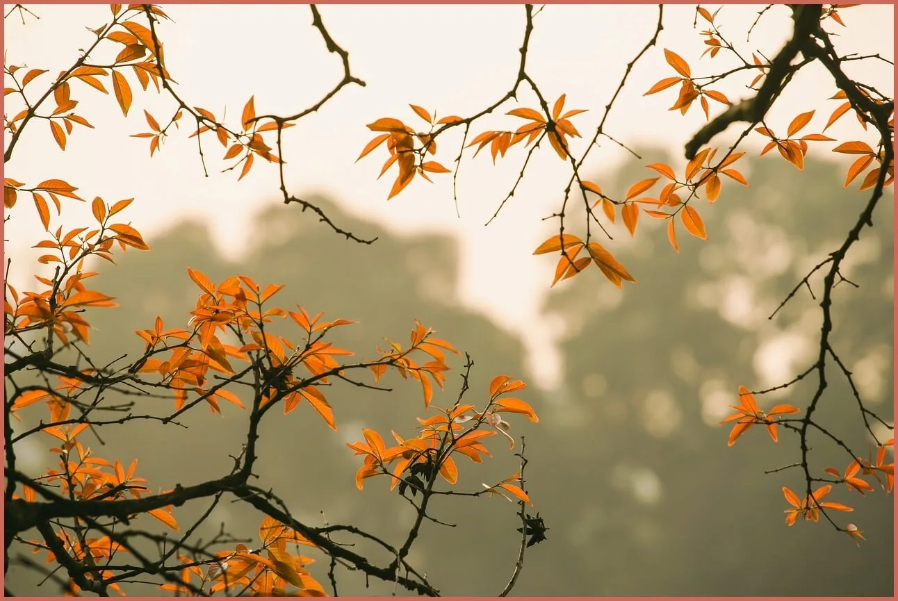 정기예금 금리 가장 높은곳
