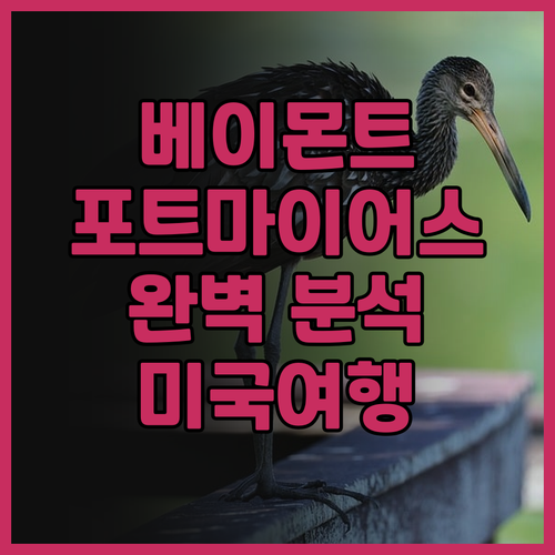 베이몬트 포트마이어스 완벽 분석! 수..