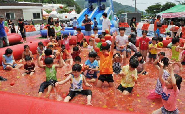 퇴촌 토마토 축제