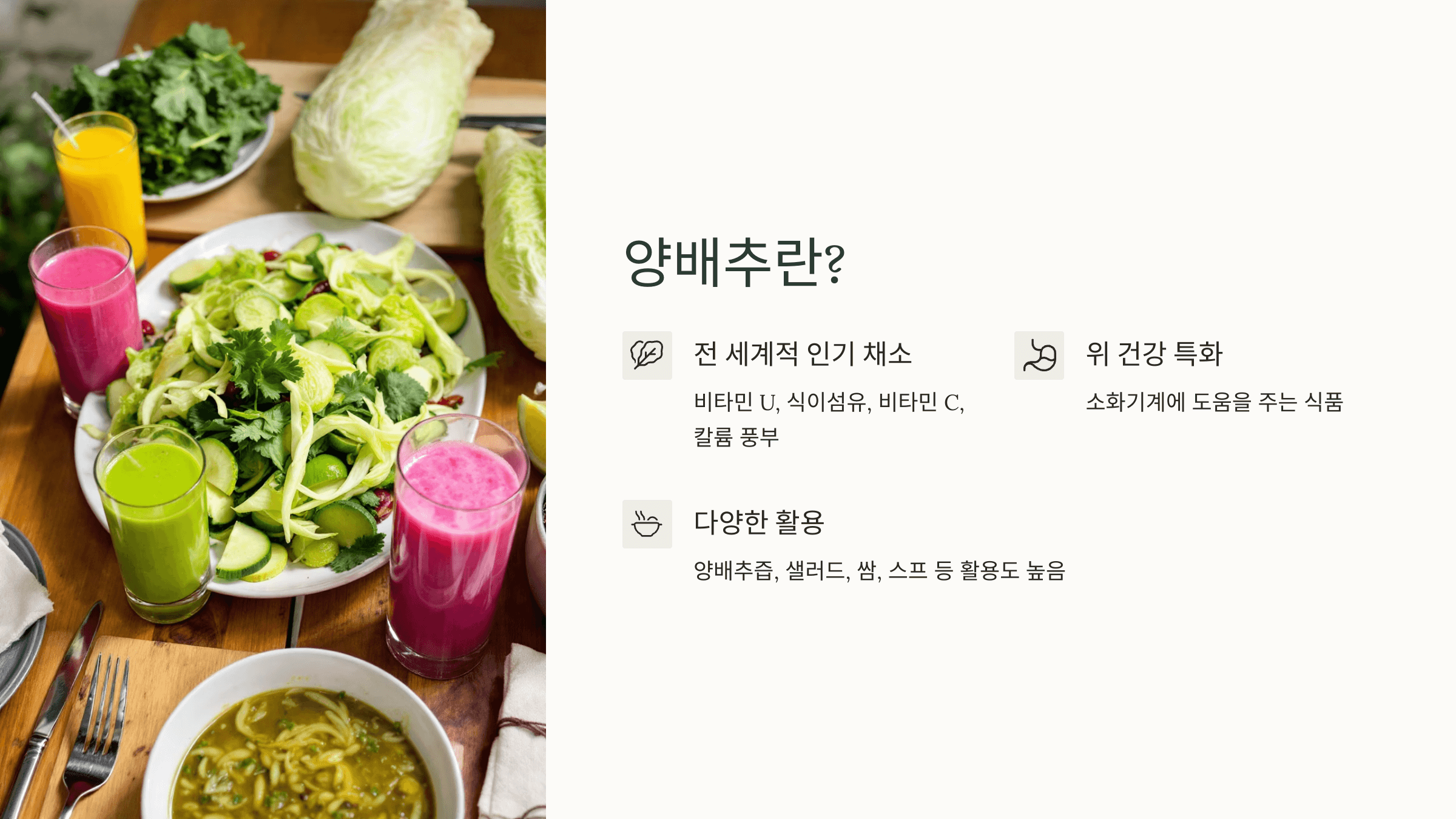 양배추 사진입니다.