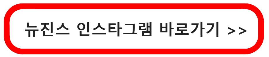 뉴진스인스타그램바로가기