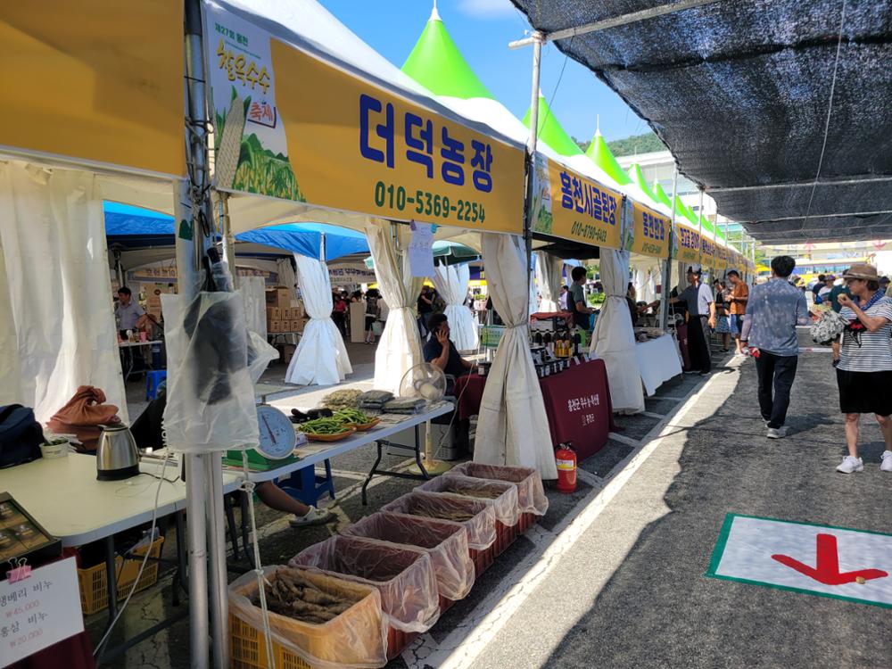 제28회 홍천 찰옥수수 축제 기본일정과 프로그램 정리