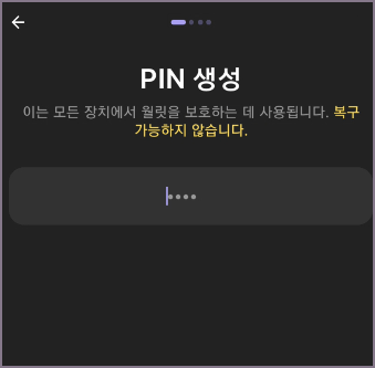 핀 번호 생성 화면