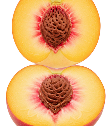 대극천 복숭아 특징