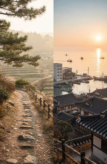 화성시 산책&middot;달리기&middot;트레킹 명소 완벽 가이드