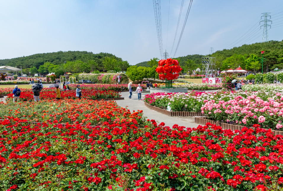 울산대공원 동물원 체험 가능한 포유류 및 조류 안내