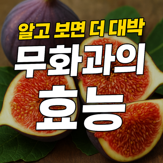 무화과의 효능