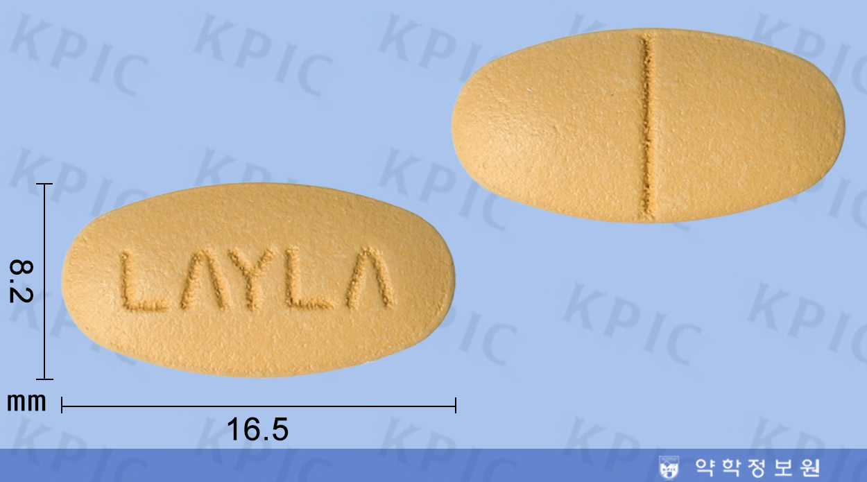 레일라정: 골관절증 증상 완화 및 사용 주의사항