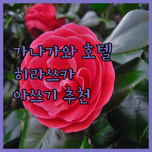 가나가와 호텔 완벽 분석 히라쓰카, 