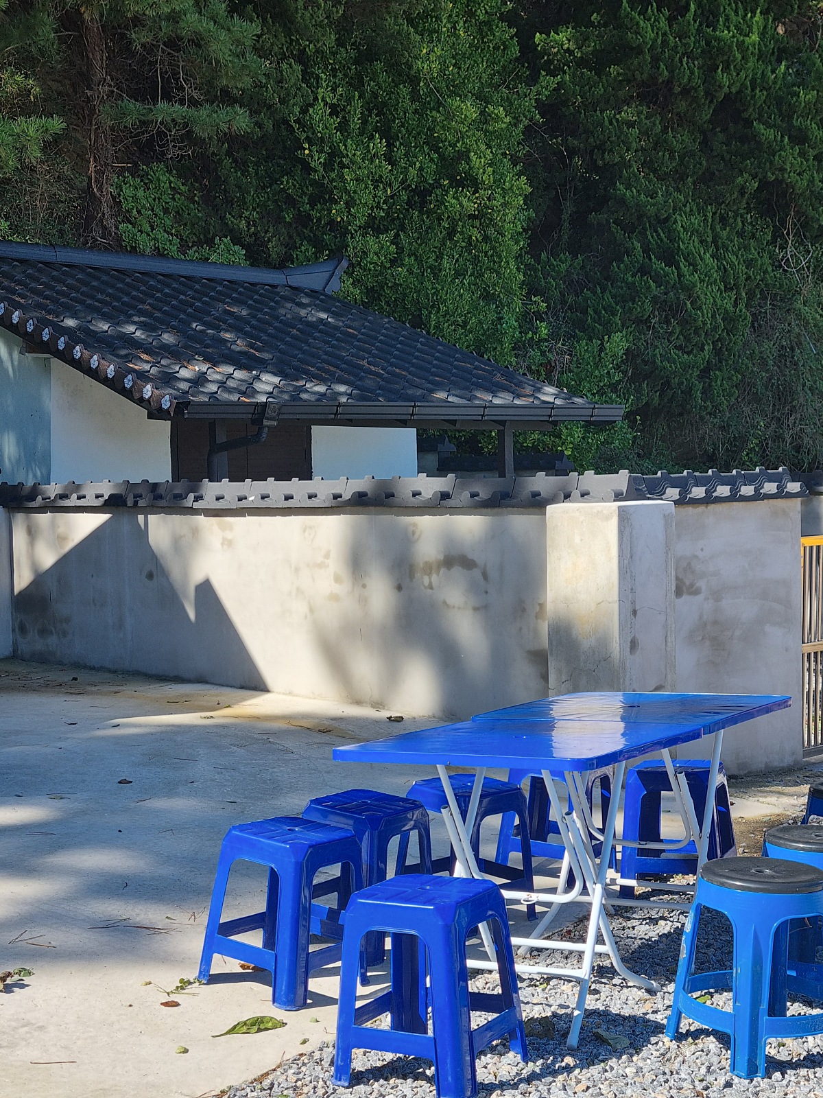동해 가볼만한곳 천곡항 후기 &amp;#124; 수상 레저와 감성돔 낚시&amp;#44; 작은 항구 매점