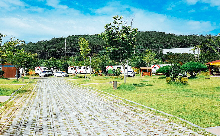 전라남도 무안군 회산백련지 오토캠핑장 소개