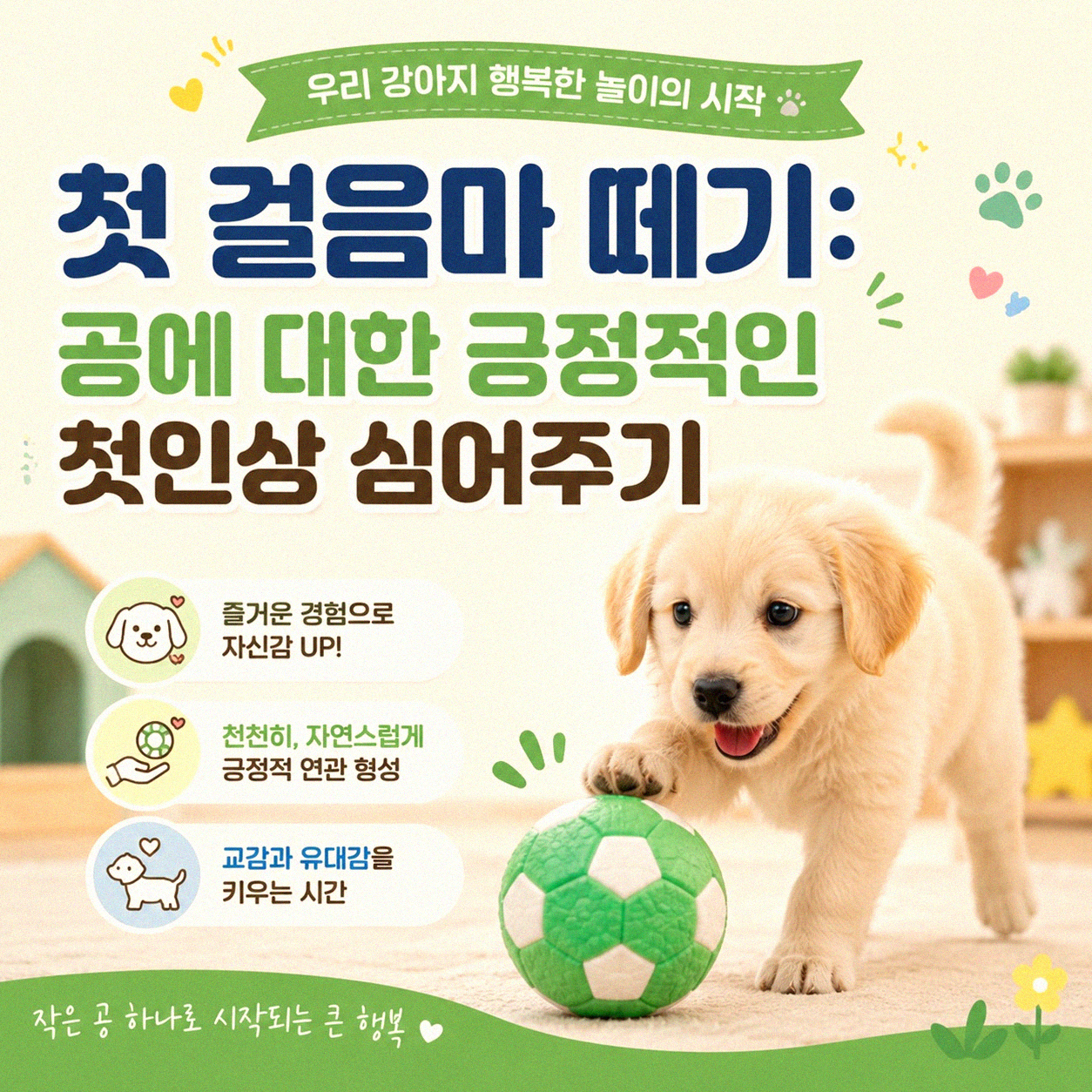 반려견 공 물어오기, 이렇게 연습하면 금방 따라해요
