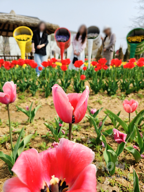 평택시-농업생태원