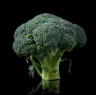 비타민A가 많은 음식