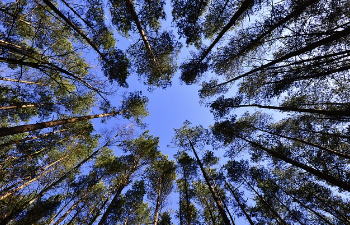 경기도 청년기본소득 2025년 신청부터 지급까지 21